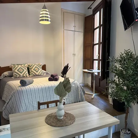 Apartment Cozy Close To The Cathedral Granada